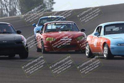 media/Feb-22-2025-CalClub SCCA (Sat) [[57201885c5]]/Group Two/Group 2B/